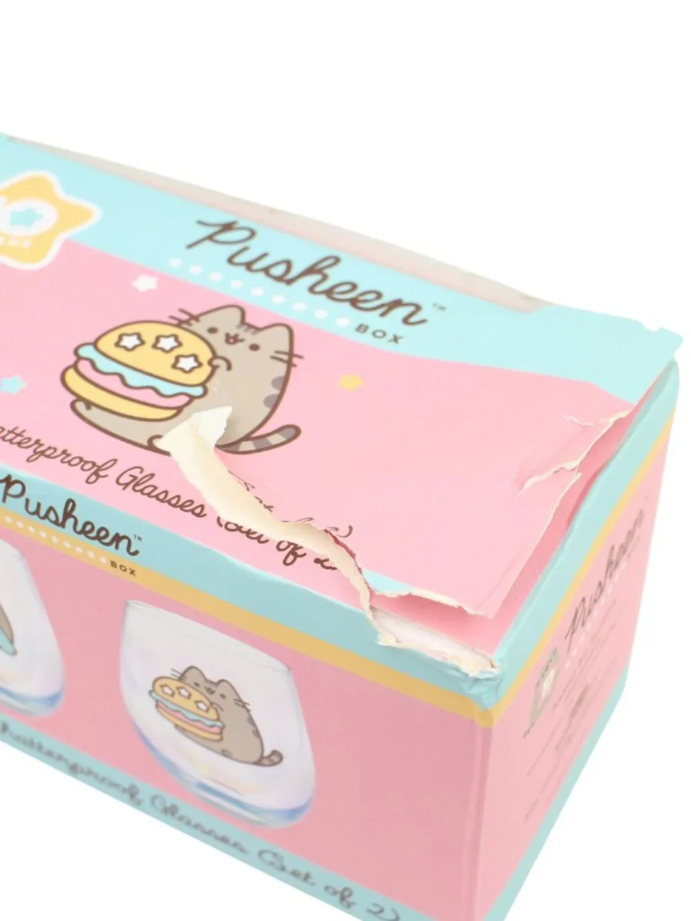 *Pusheen Box Exclusive Winter 2020 Shatterproof Stemless Glasses Set-Damaged Box